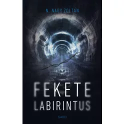 Fekete labirintus - N. Nagy Zoltán (kötött áras) 