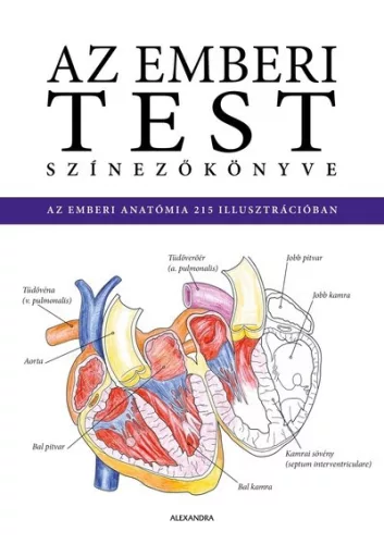 Az emberi test színezőkönyve (kötött áras) 