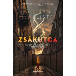 Zsákutca - Gillian McAllister (kötött áras) 