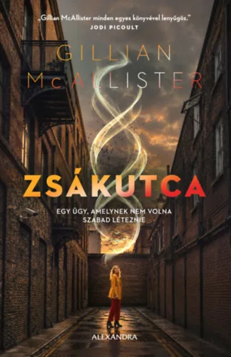 Zsákutca - Gillian McAllister (kötött áras) 