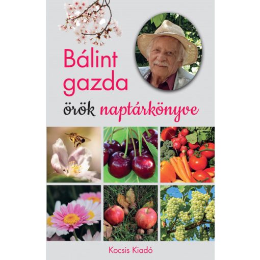 Bálint György - Bálint gazda örök naptárkönyve