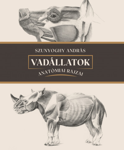 Vadállatok anatómiai rajzai - Szunyoghy András