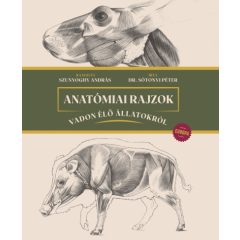   Anatómiai rajzok vadon élő állatokról - Európa - Sótonyi Péter