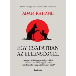   Egy csapatban az ellenséggel - Adam Kahane (kötött áras) 