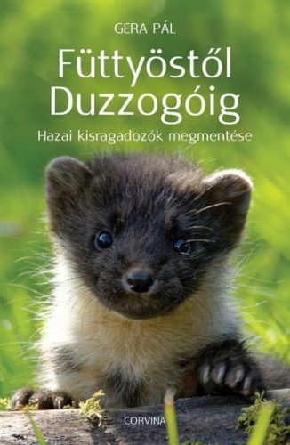 Gera Pál - Füttyöstől Duzzogóig