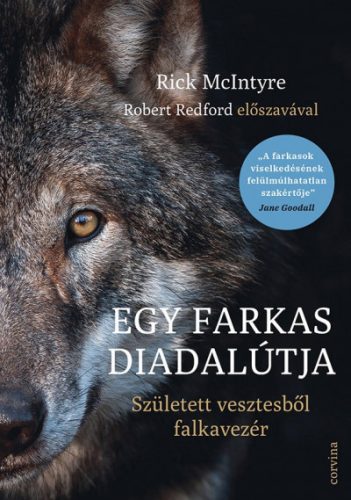 Egy farkas diadalútja - Született vesztesből falkavezér- Rick McIntyre