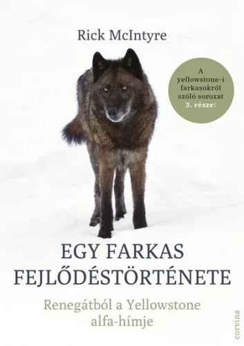 Egy farkas fejlődéstörténete - Renegátból a Yellowstone alfa-hímje - Rick McIntyre (kötött áras)  