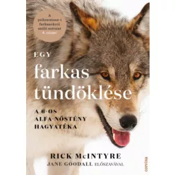   Egy farkas tündöklése - A 6-os alfa-nőstény hagyatéka -  Rick McIntyre (kötött áras) 