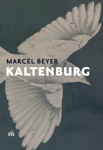 Kaltenburg - Marcel Beyer