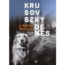A másik mozaik - Krusovszky Dénes (kötött áras) 