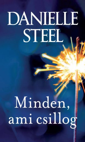 Minden, ami csillog - Danielle Steel