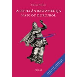Charles Fitzroy - A szultán Isztambulja napi öt kurusból 