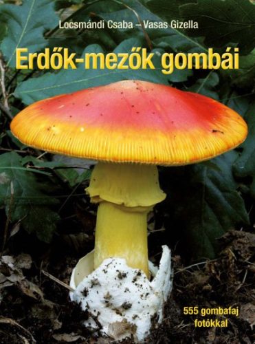 Erdők-mezők gombái 