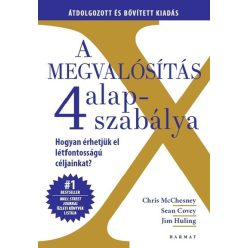   A megvalósítás 4 alapszabálya - Chris Mcchesney (kötött áras) 