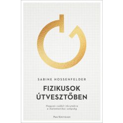 Sabine Hossenfelder - Fizikusok útvesztőben 