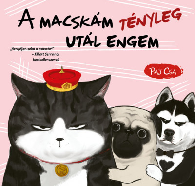 A macskám tényleg utál engem - Macska és Kutya 2. - Paj Csa