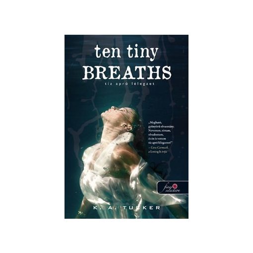K. A. Tucker-Tíz apró lélegzet:Ten Tiny Breaths (új példány)