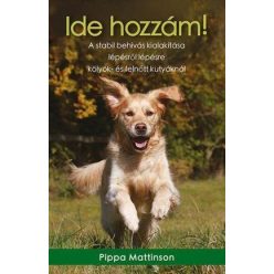 Pippa Mattinson - Ide hozzám! 