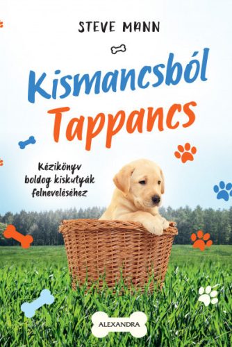 Steve Mann - Kismancsból Tappancs 