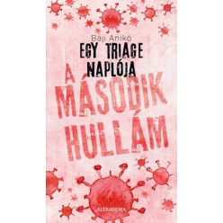 Baji Anikó - Egy triage naplója 2. - A második hullám