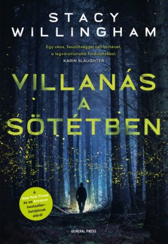 Stacy Willingham - Villanás a sötétben