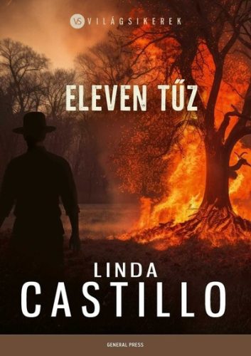 Eleven tűz - Világsikerek - Linda Castillo (kötött áras)  