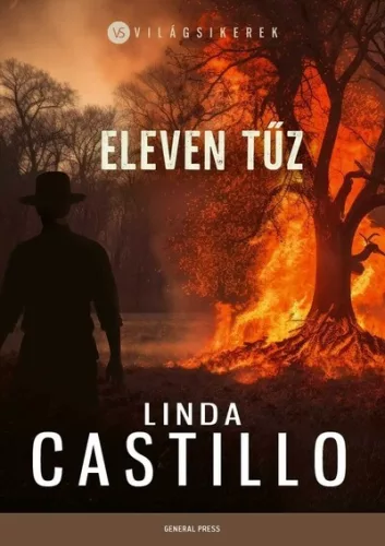 Eleven tűz - Világsikerek - Linda Castillo (már nem kötött áras)  
