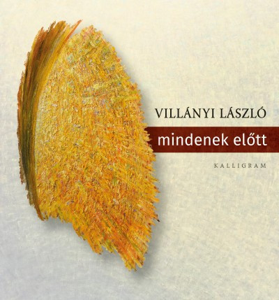 Villányi László - mindenek előtt 