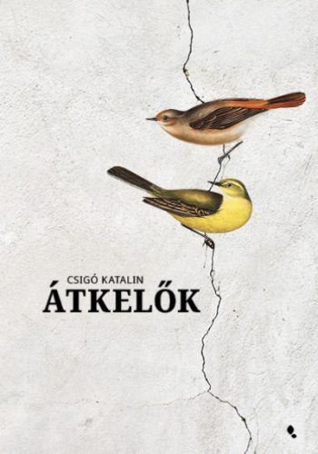 Átkelők - Csigó Katalin