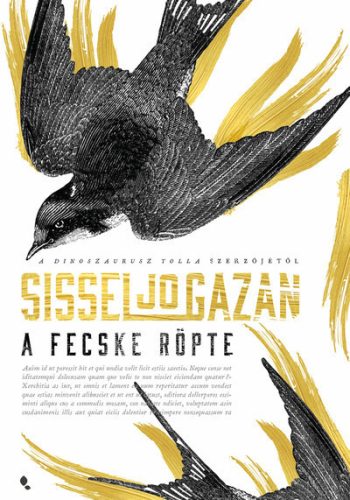 A fecske röpte - Sissel-Jo Gazan