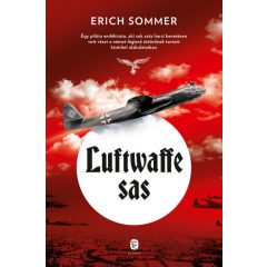 Erich Sommer - Luftwaffe sas 