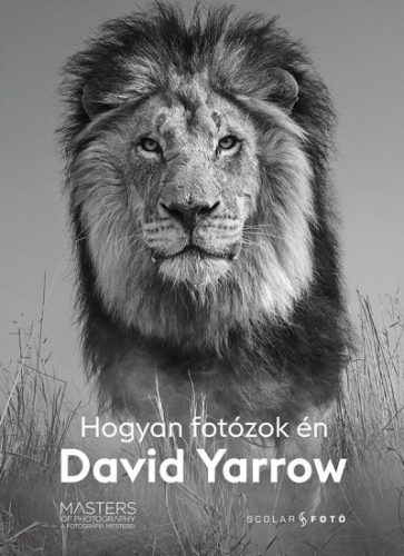 David Yarrow - Hogyan fotózok én