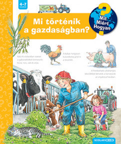 Mi történik a gazdaságban? - Mit? Miért? Hogyan?-Andrea Erne