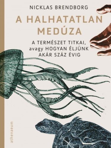 Nicklas Brendborg - A halhatatlan medúza - A természet titkai, avagy hogyan éljünk akár száz évig