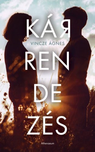 Vincze Ágnes - Kárrendezés