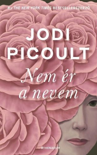 Nem ér a nevem -  Jodi Picoult