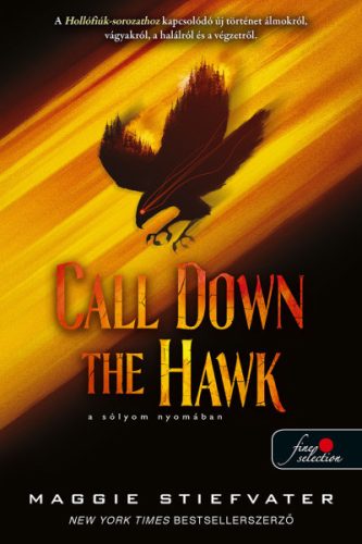 Maggie Stiefvater - Call Down the Hawk - A sólyom nyomában - Álmodok 1.