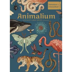   Animalium - Üdvözlünk a múzeumban! -Jenny Broom - Katie Scott