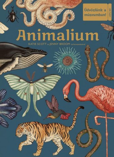 Animalium - Üdvözlünk a múzeumban! -Jenny Broom - Katie Scott