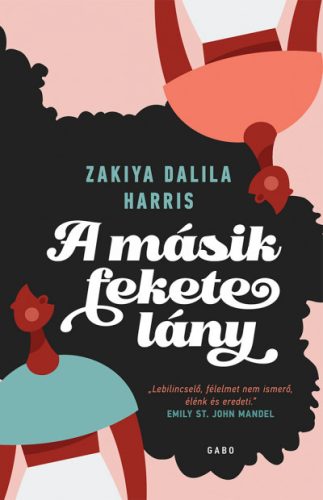 Zakiya Dalila Harris - A másik fekete lány