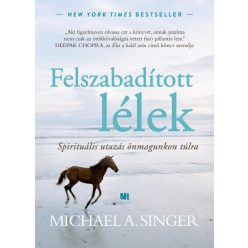 Felszabadított lélek - Díszkiadás - Michael A. Singer
