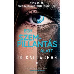 Egy szempillantás alatt -Jo Callaghan