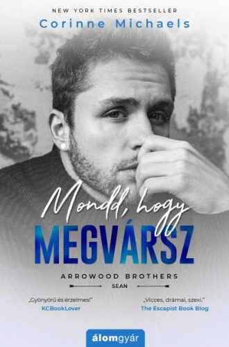 Corinne Michaels - Mondd, hogy megvársz - Arrowood Brothers - Sean