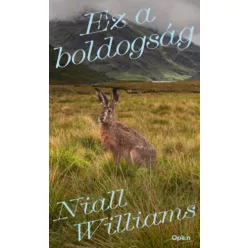 Ez a boldogság - Niall Williams (kötött áras)