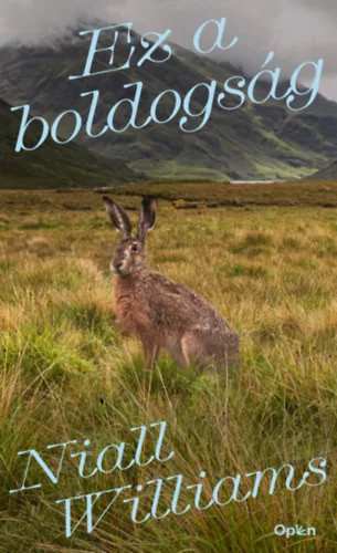 Ez a boldogság - Niall Williams (kötött áras)
