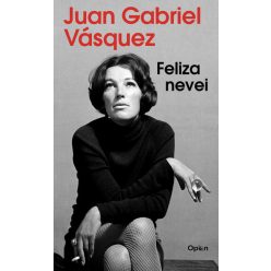 Feliza nevei - Juan Gabriel Vásquez (kötött áras)