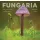 Fungaria - Magyarország gombavilága - Molnár Ákos (kötött áras) 