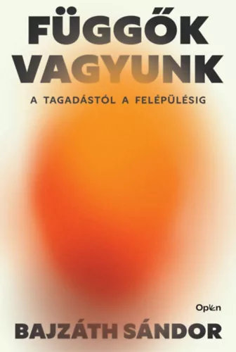Függők vagyunk - A tagadástól a felépülésig - Bajzáth Sándor (kötött áras)