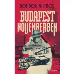 Budapest novemberben - Kondor Vilmos (kötött áras) 