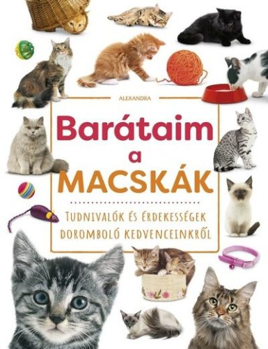 Barátaim, a macskák (kötött áras)